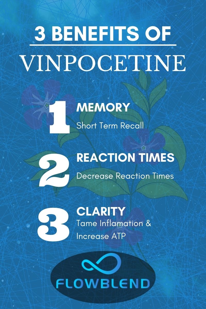 3 Benefits of Vinpocetine