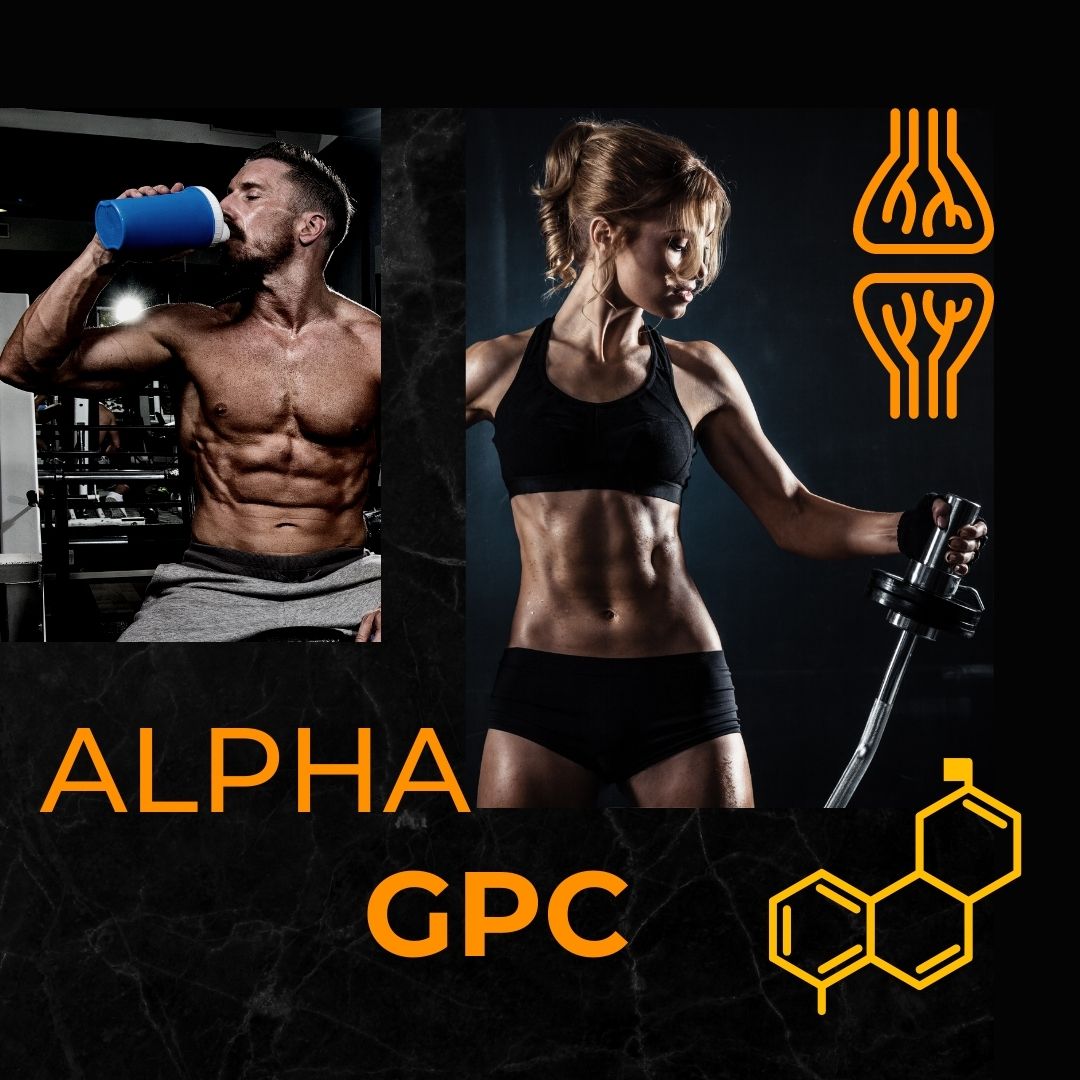 Alpha GPC Nootropic