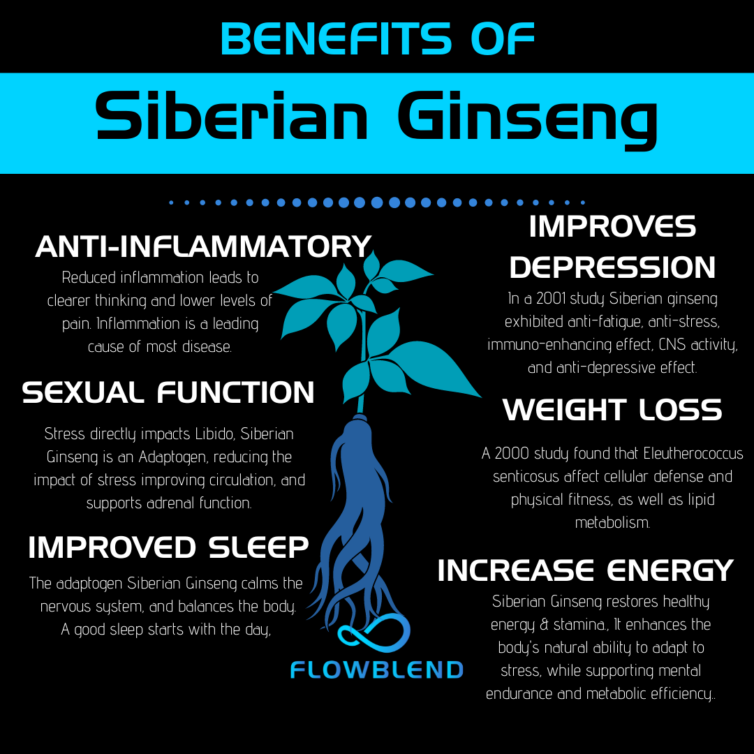 Benefits of Siberian Ginseng