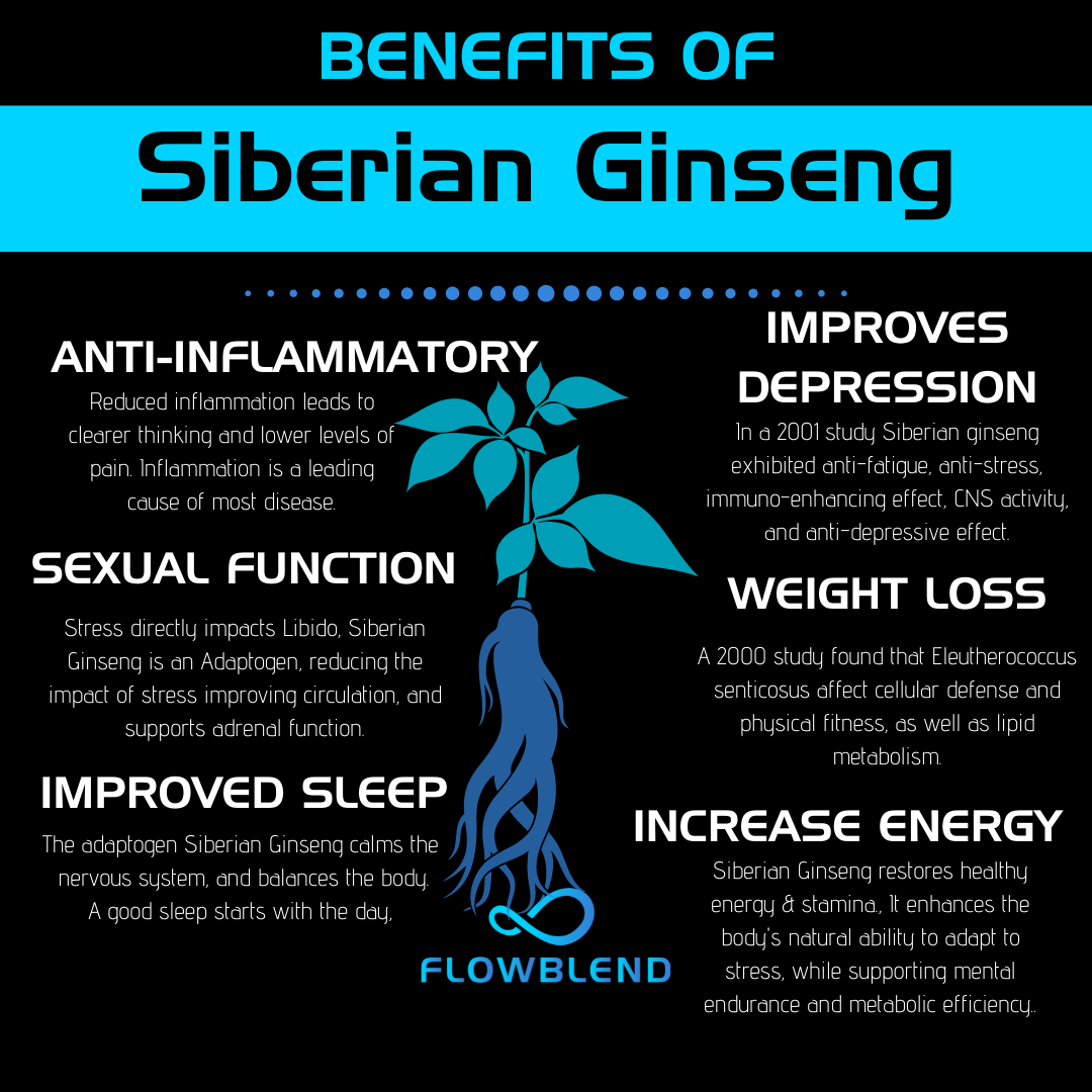 Siberian Ginseng Benefits FlowBlend