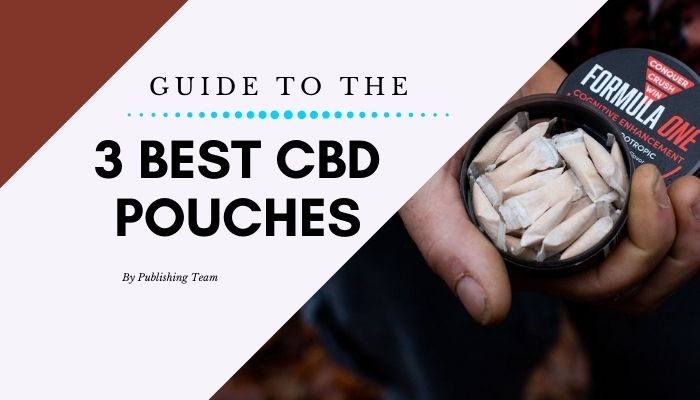 What are the best CBD Pouches?