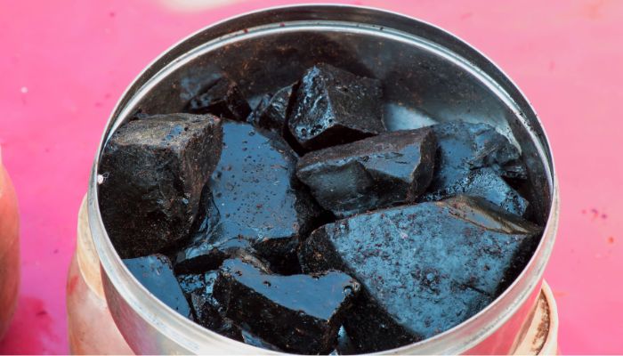 Shilajit Resin