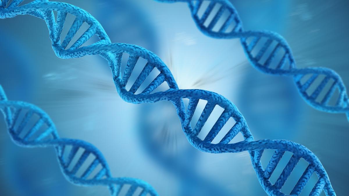 What Is Genetic Predisposition?